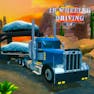 18 Wheeler Driving Sim