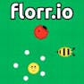 Florr.io