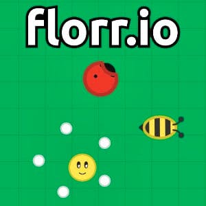 Gameplay of Florr.io