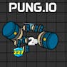 Pung.io
