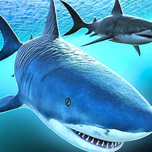 Gameplay of Sharks 3D Multiplayer