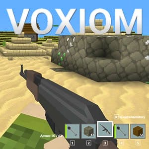 Gameplay of Voxiom.io