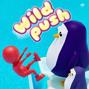 Gameplay of Wild Push